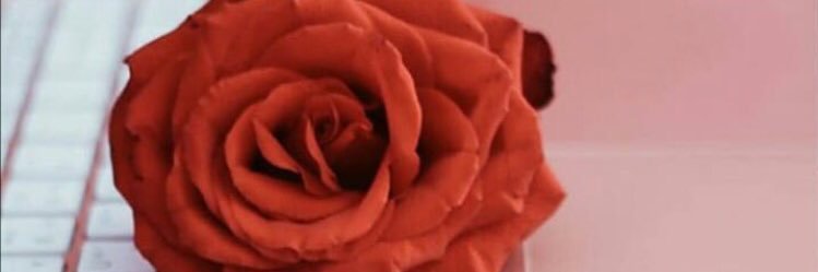 ايفا ♥️🍃 banner