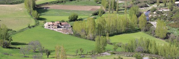 fcuadrosg Profile Banner