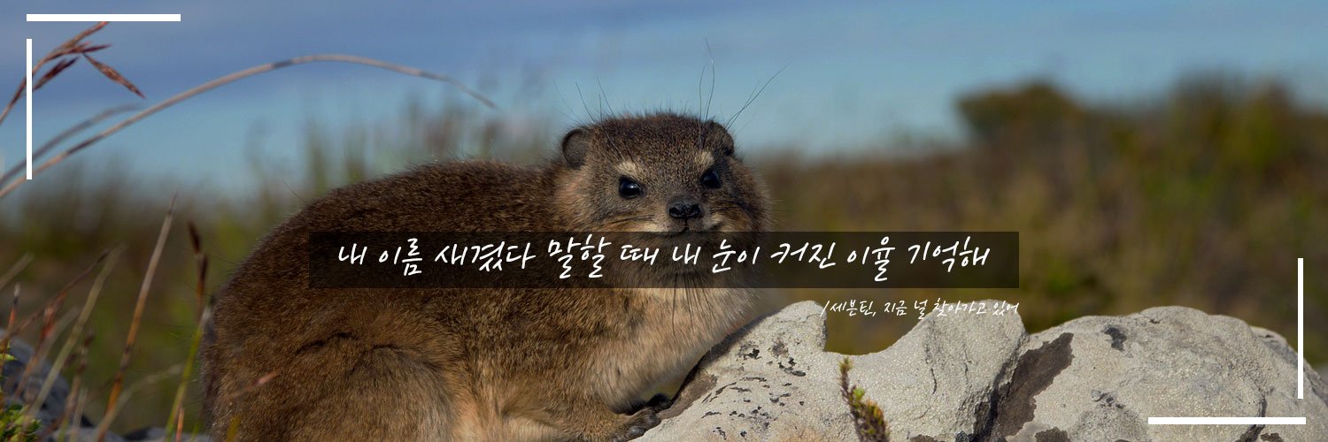 ngr_eri's profile banner image