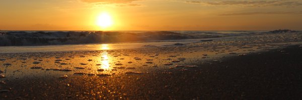 Costadeste Profile Banner