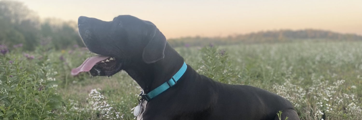 _kassidy_ann's profile banner image