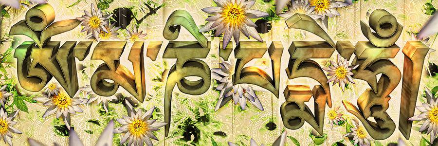 claudiabialopes's profile banner image