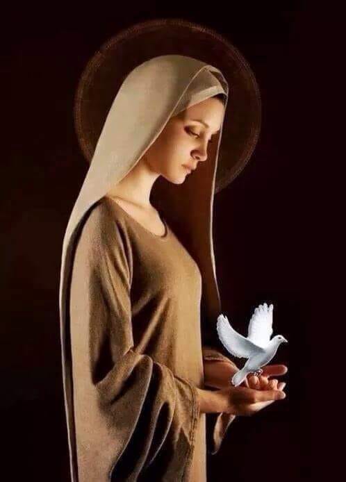 Suranie De Silva banner