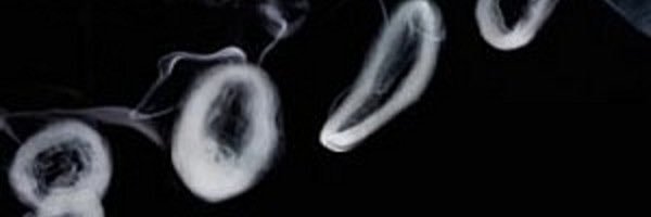 Budsquad1's profile banner image