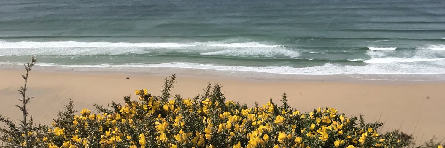 GillWebber1's profile banner image