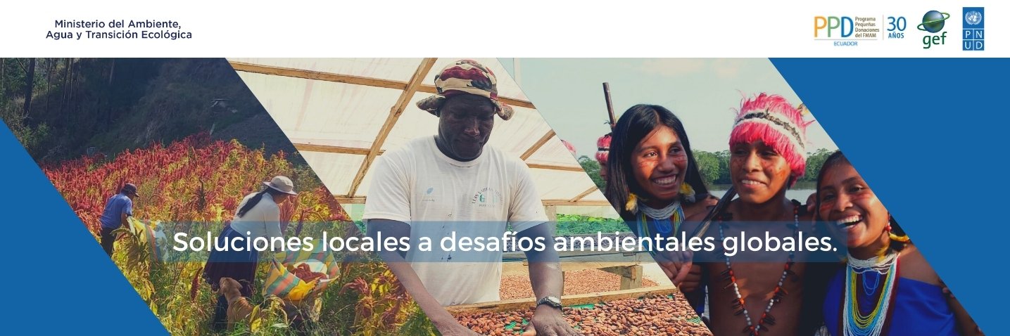 PPDEcuador's profile banner image