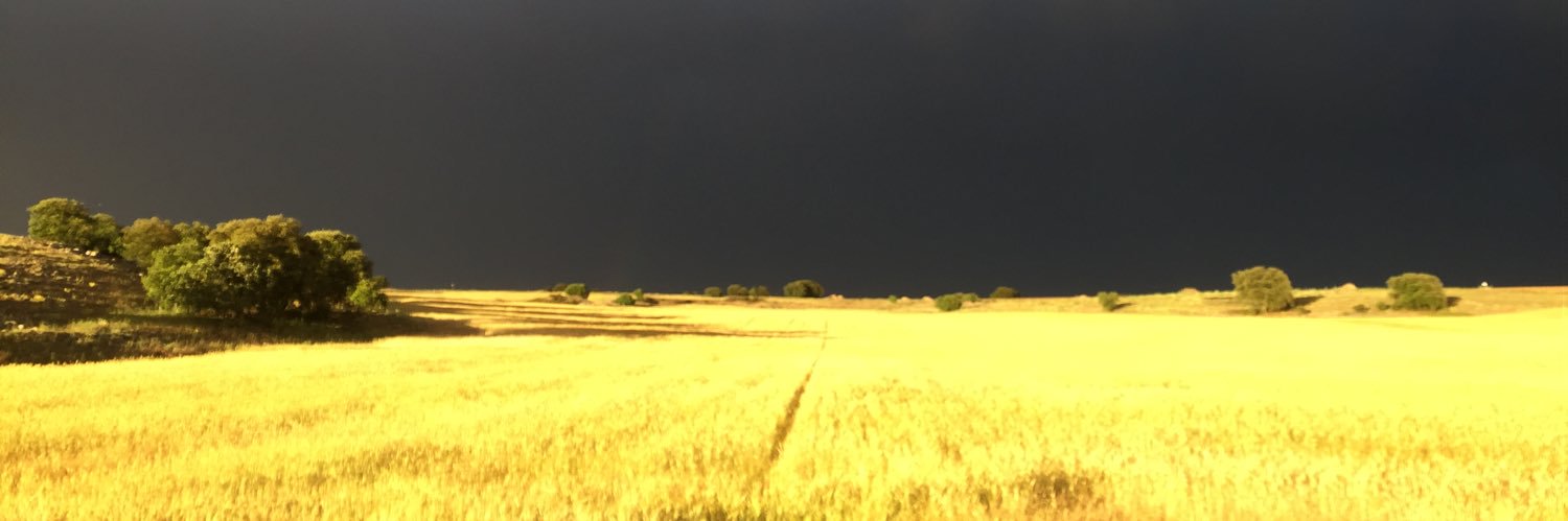 benitorro's profile banner image