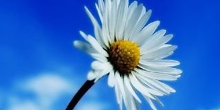 prabakar0309's profile banner image