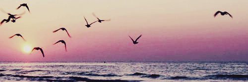bethaanygray's profile banner image