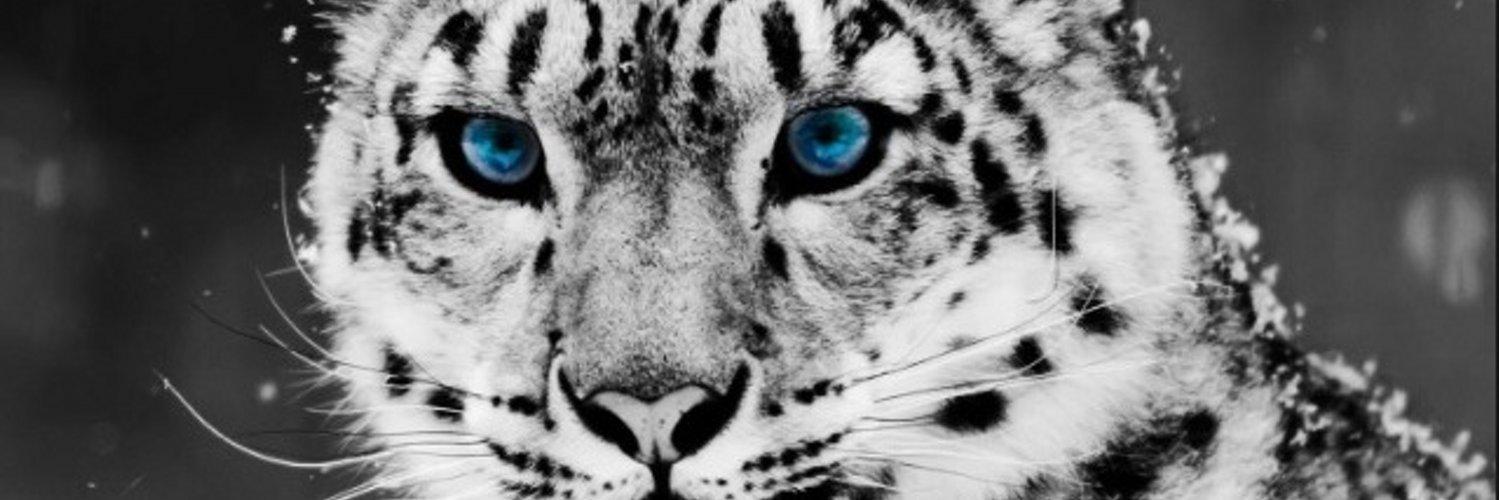 Tiomonias's profile banner image