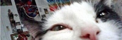 BadKitty1404's profile banner image