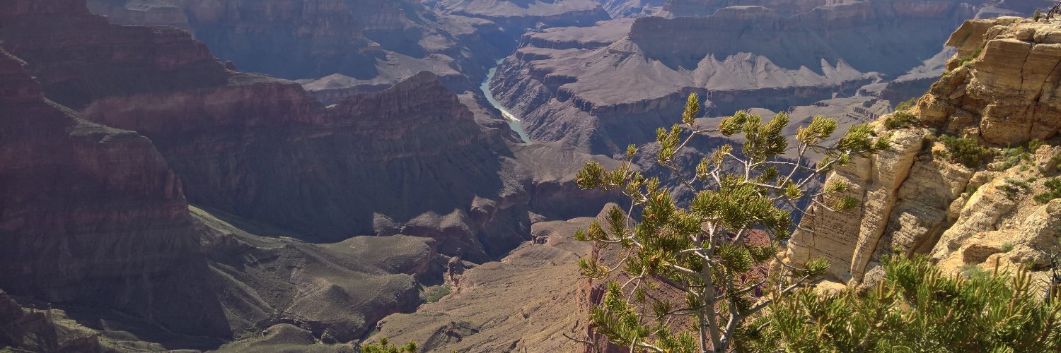 PatrickHogan3's profile banner image