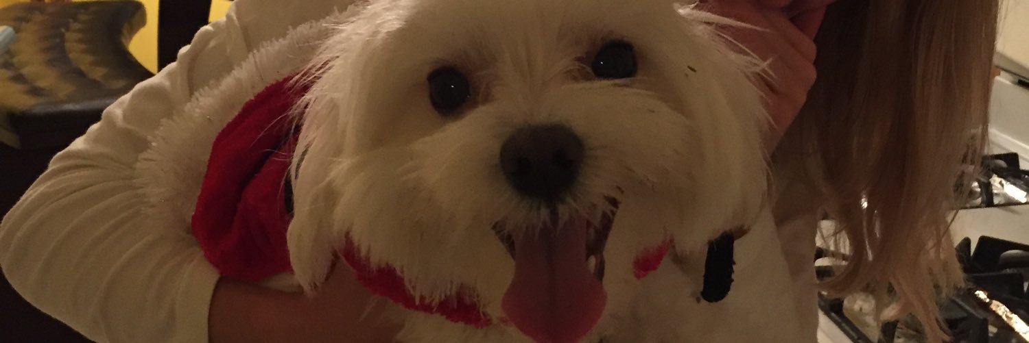 SeanyKells24's profile banner image