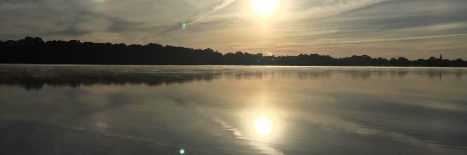 tpkelle's profile banner image