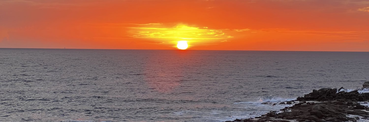 Alix_Clement's profile banner image