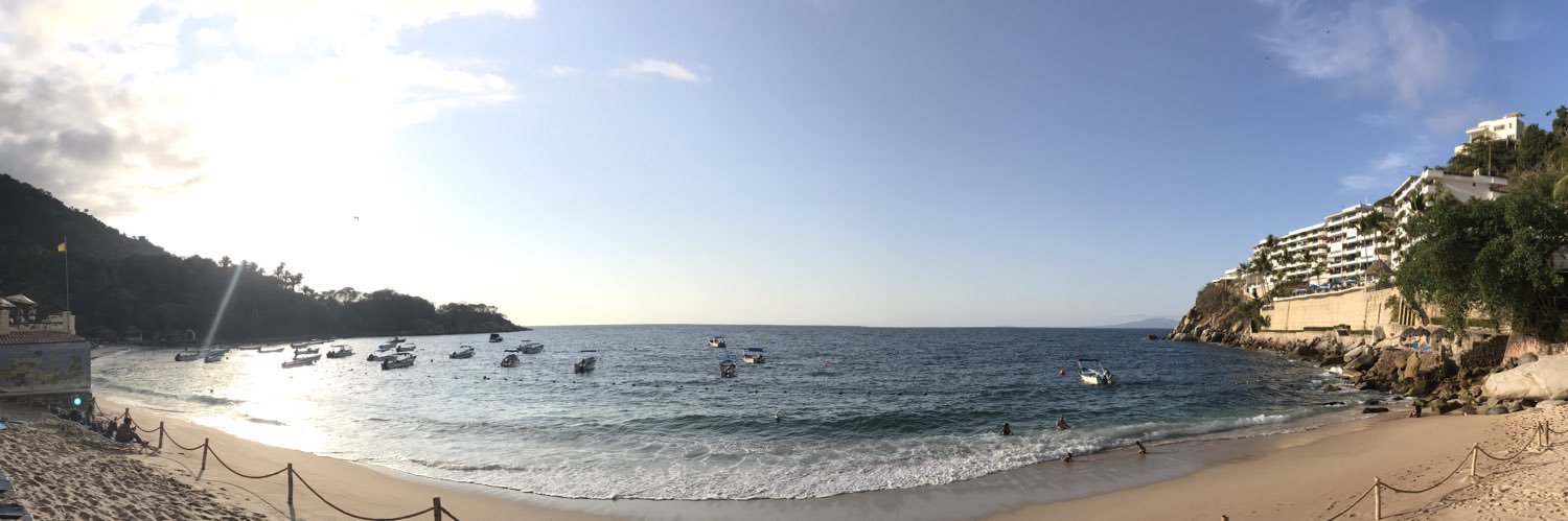 Kevin Johnson banner