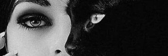 Banjeex's profile banner image