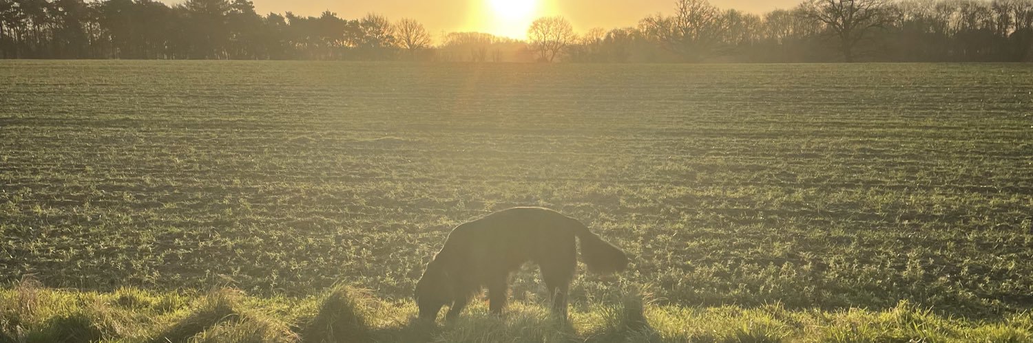 neilchappell's profile banner image