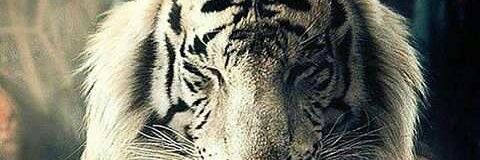 its_munat's profile banner image