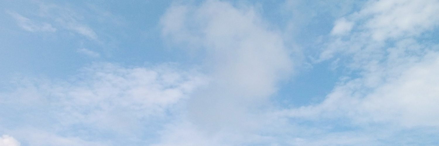 Violaforest's profile banner image