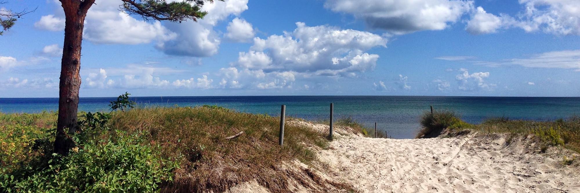 Insel Rügen (@insel_ruegen) / Posts / X