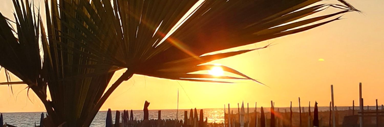 aledinapoli's profile banner image