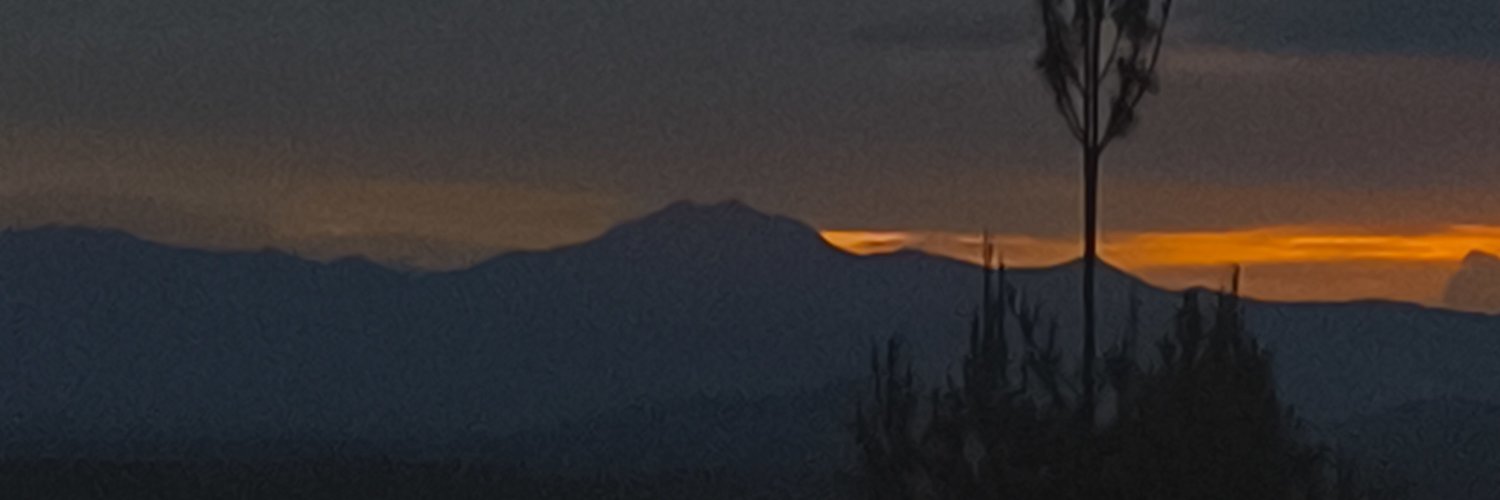 FeruDaniel's profile banner image
