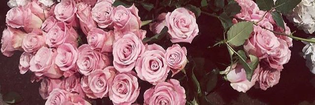 طيف💜✨. banner