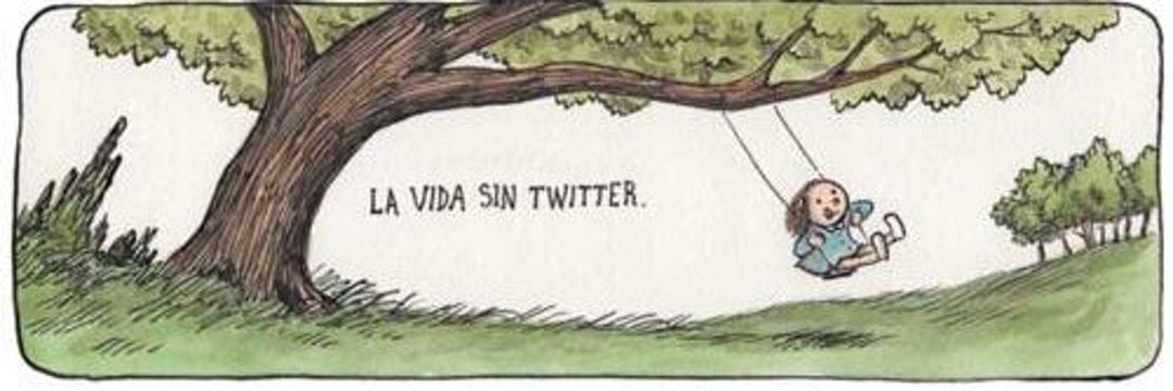 Carolina González banner