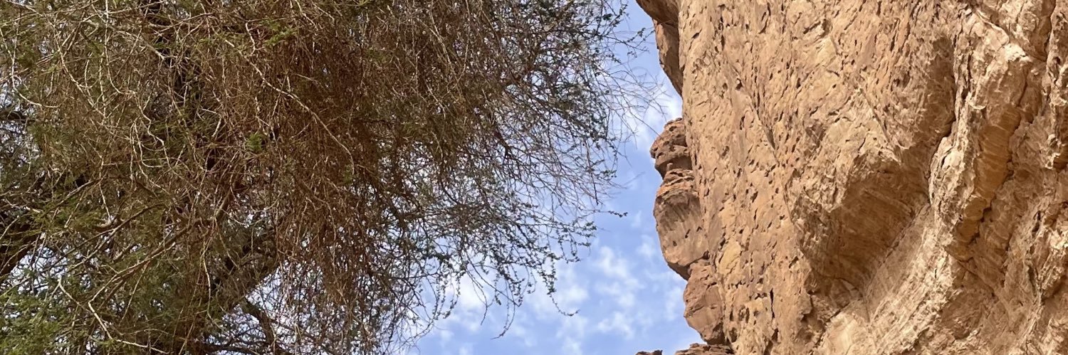 AlserhaniAbrar's profile banner image