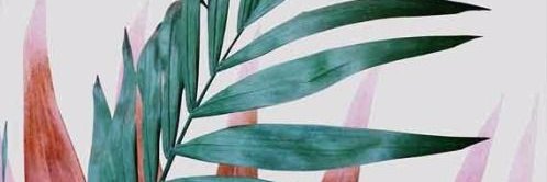 aimeeandbella's profile banner image