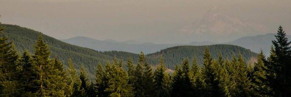 CHamWag Profile Banner