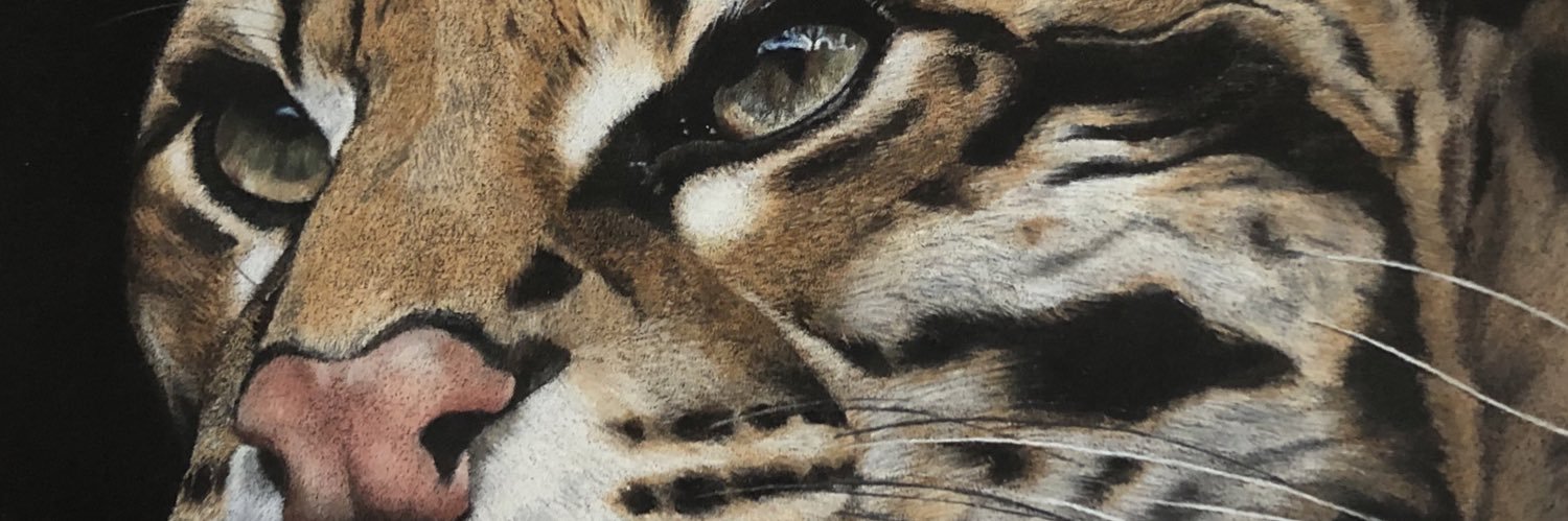 LincsToffee's profile banner image