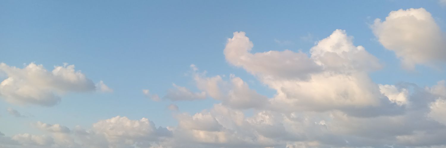nayeramaarouf's profile banner image