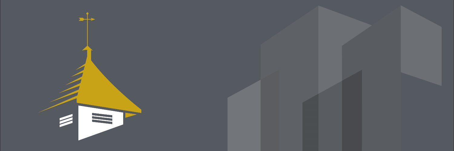 ProfZiviani's profile banner image