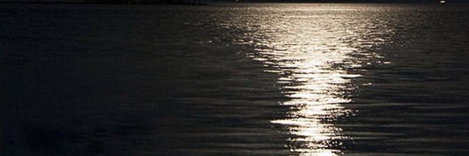 Ruoa15's profile banner image