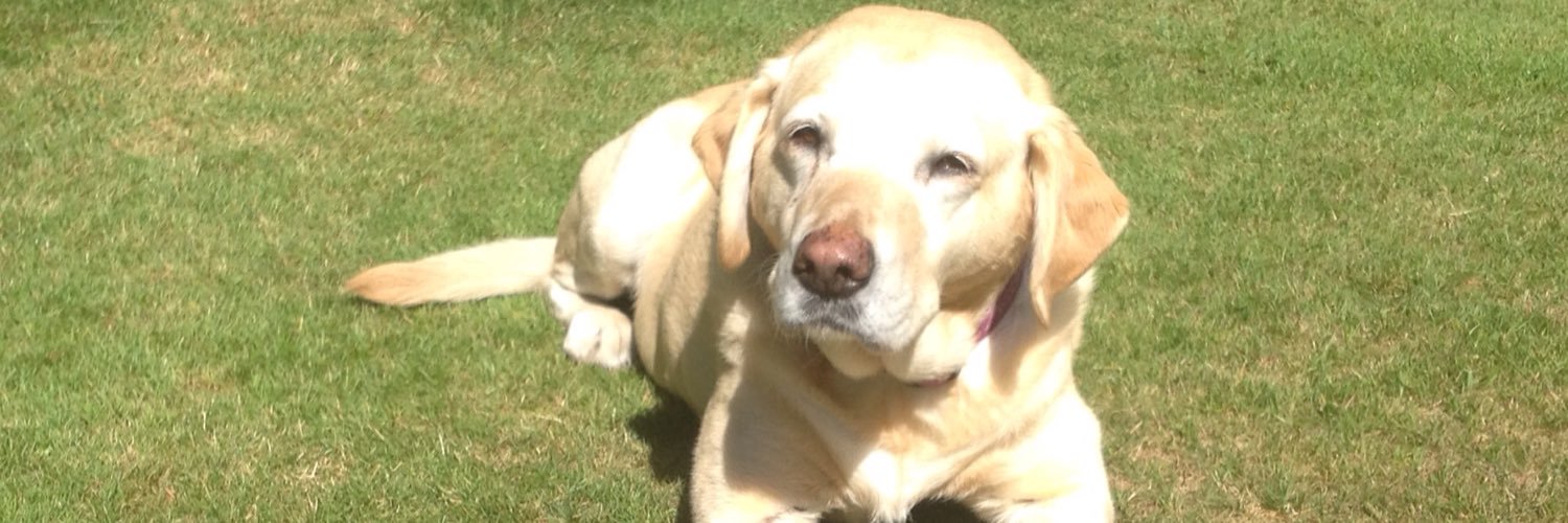 Rob Ravenscroft banner