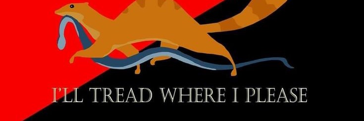 billyrera's profile banner image