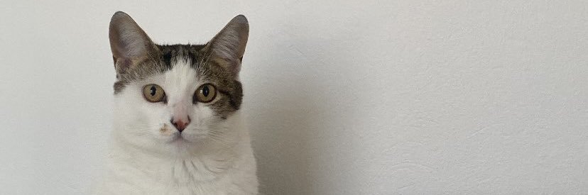 luisaIvs's profile banner image