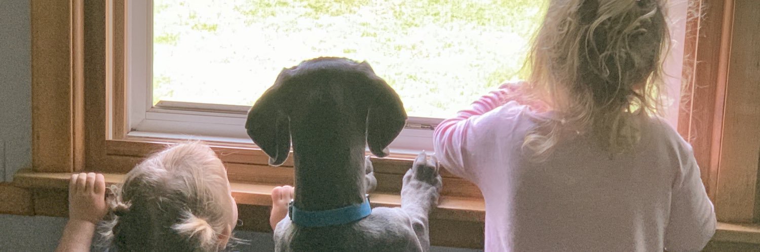 BLars5's profile banner image
