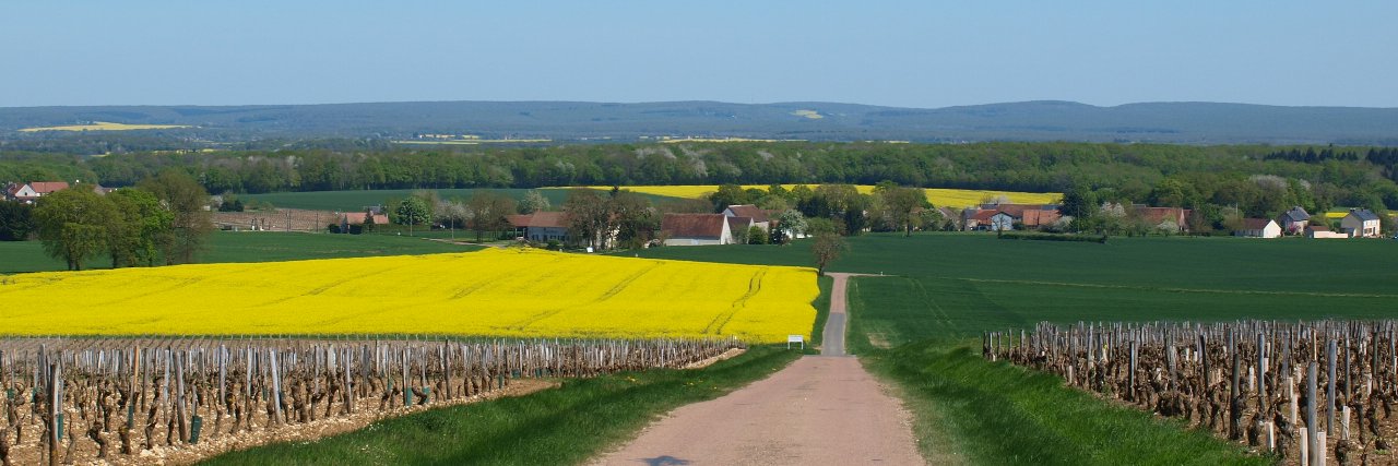 CorentinBonnard's profile banner image