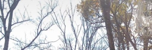 0SHYUTA's profile banner image