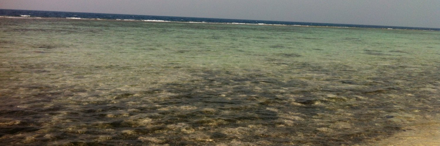 imam_noise's profile banner image