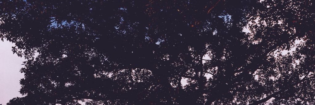 Shahd_Fahd's profile banner image