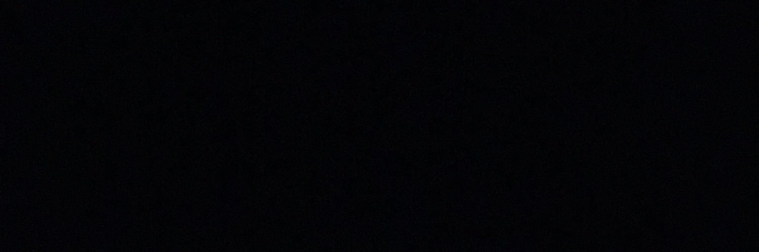 busarini's profile banner image
