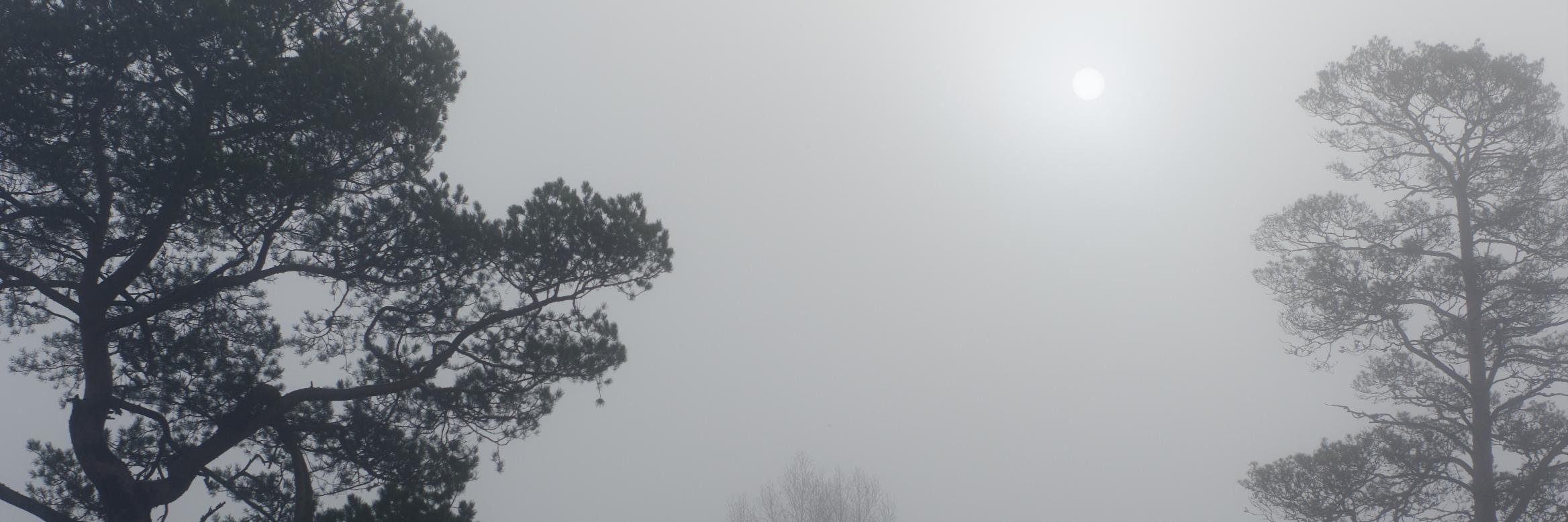UralNature's profile banner image