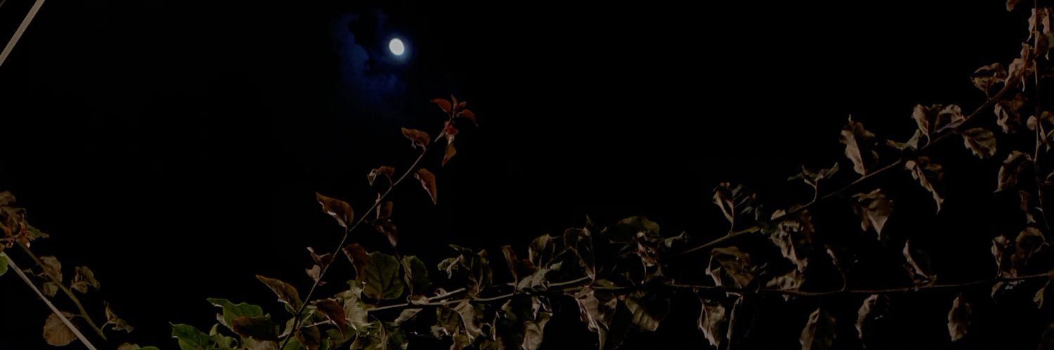 Yaralzu's profile banner image