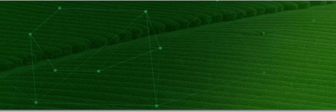 DimitraAndreas banner