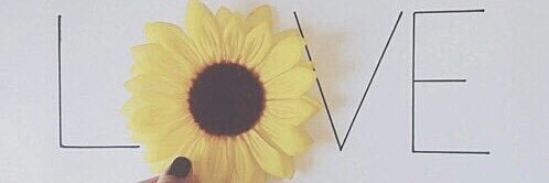 Sun_17a's profile banner image