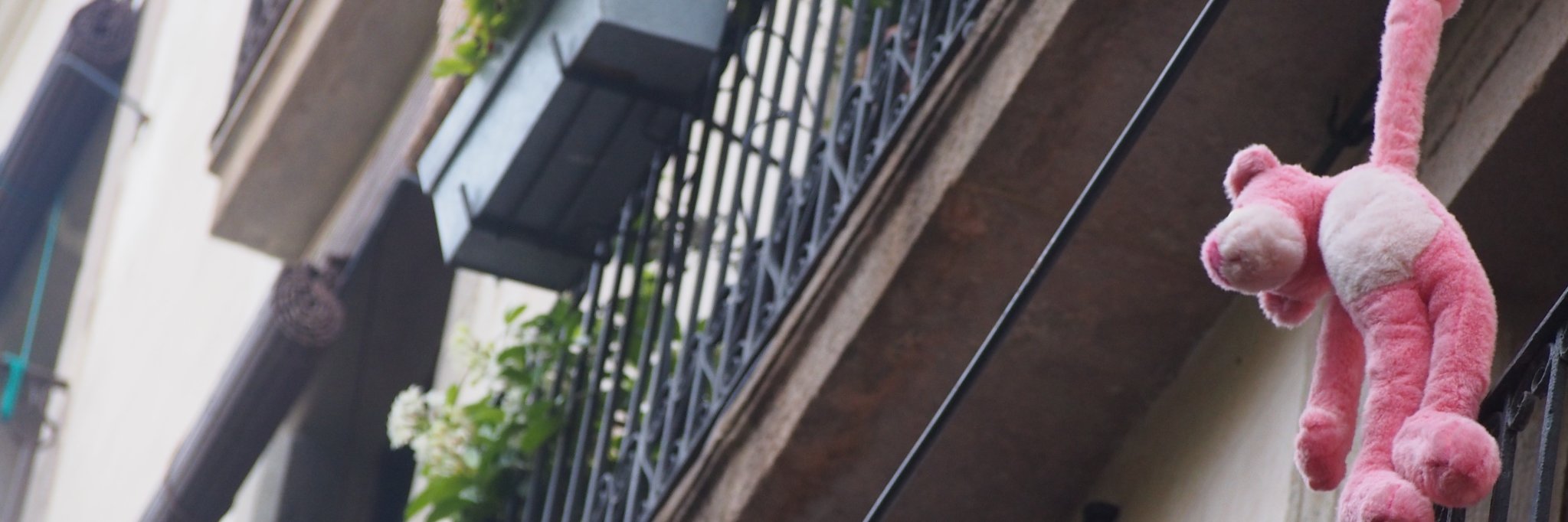 Sandra_ViBa's profile banner image